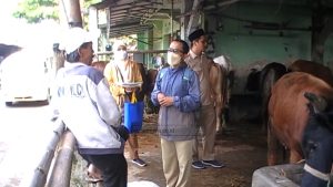 JELANG IDUL ADHA PENJUALAN HEWAN QURBAN ALAMI PENURUNAN