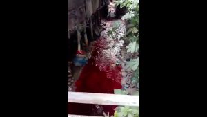 ANAK SUNGAI CILEUNGSI TERCEMAR LIMBAH PABRIK 