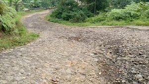 JALAN RUSAK AKSES KE MALASARI DI ANAKTIRIKAN PEMKAB BOGOR