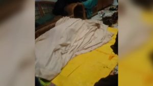 TEMUAN MAYAT BAU BUSUK DITAMANSARI