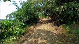 TUJUH DESA DI CIAMPEA CAIRKAN SAMISADE