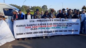 5200 PENSIUNAN PTPN VIII BELUM DAPATKAN SANTUNAN HARI TUA