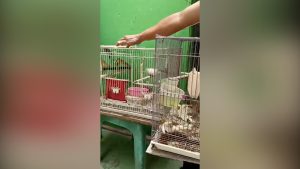 HOBI BERBUAH PUNDI-PUNDI