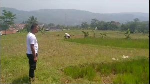 PULUHAN HEKTAR SAWAH TERANCAM GAGAL PANEN