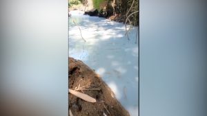 SUNGAI CIBOJONG TERCEMAR LIMBAH BATU ALAM