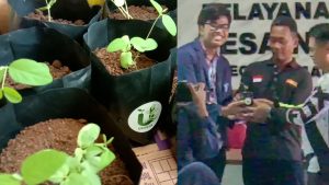 32 JENIS TOGA DISEBAR DIWILAYAH DESA NEGLASARI