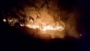 AKIBAT BAKAR SAMPAH SEMBARANG MENJALAR KE LAHAN KOSONG