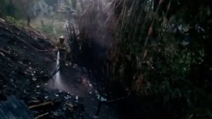 KEBAKARAN LAHAN DI TUGU UTARA
