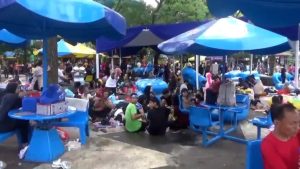 LIBUR SEKOLAH DAN NATARU 2023-2024 THE JUNGGLE