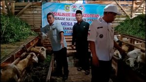 TIGA POKTAN DOMBA DI DESA PETIR