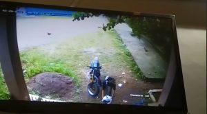 JAGA GUDANG LOGISTIK PEMILU, MOTOR POLPP DIGONDOL MALING