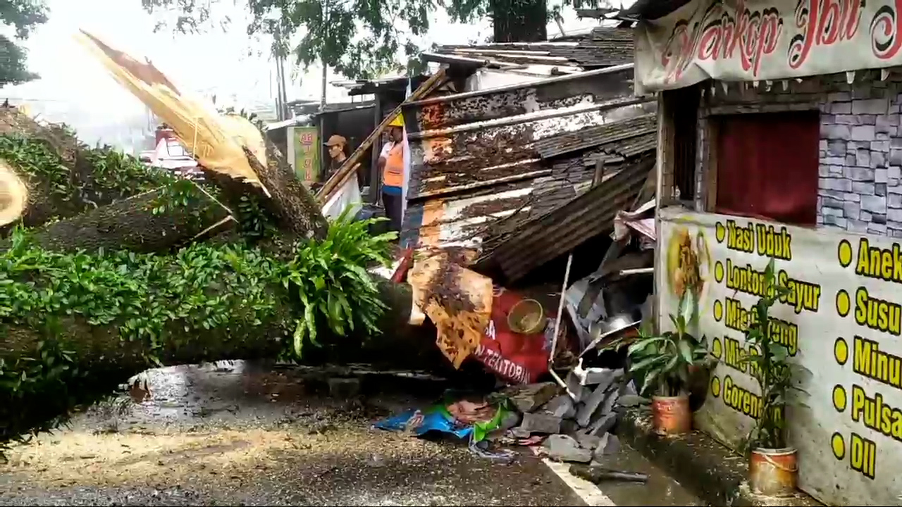 Pohon Tua Roboh Di Gadog Puncak
