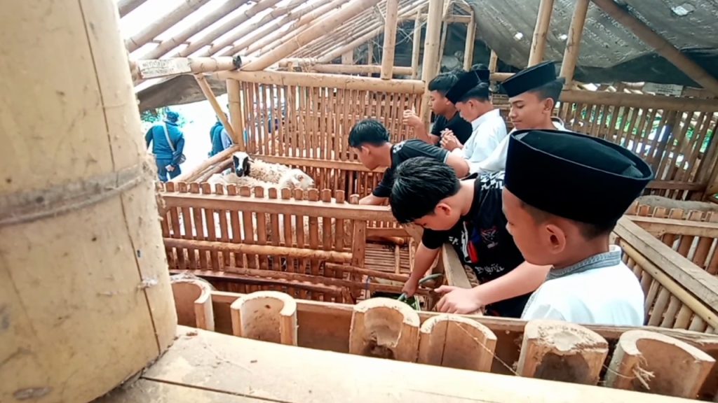 Belasan Siswa SMP Boarding School Belajar Cara Memilih Hewan Qurban