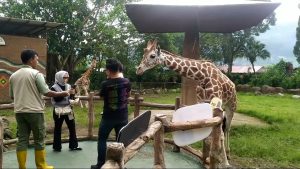 Liburan Sekolah, Destinasi Wisata di Puncak Bogor Ramai Dikunjungi Wisatawan