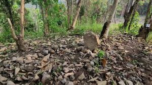 Dugaan Perdukunan Dan Makam Palsu, Polisi Amankan Tersangka
