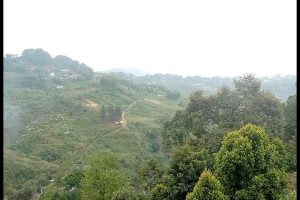 Wisata Tracking Gunung Ciung Di Babakan Madang Jadi PRIMADONA