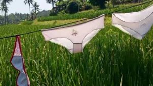 Usir Hama Burung Gunakan Pakaian Sensitif