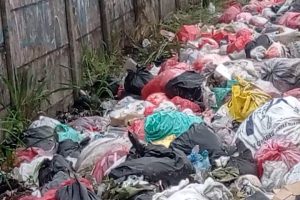 Tumpukan Sampah Di Pinggir Jalan Jampang- Ciseeng Ganggu Pengguna Jalan