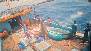 EVAKUASI DUA NELAYAN DI PELABUHANRATU, TERUNGKAP HAL MISTIS