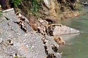 SUNGAI CIAPUS MELUAP, TPT AMBRUK ANCAM SEKOLAHAN DAN RUMAH WARGA