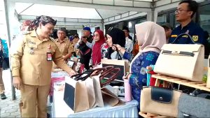 PJ BUPATI, PENANGANAN STUNTING BISA DIALOKASIKAN DARI DANA DESA