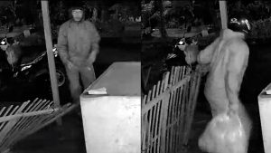 Pelaku Pencurian Ayam Potong Di Ciomas Rahayu Terekam Cctv