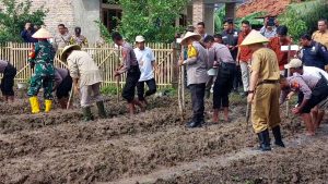 Polres Dan Pemkab Serang Tanam 3 Hektare Jagung Demi Jaga Ketahanan Pangan
