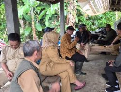 Dinas Pertanian Tinjau Langsung Petani Sawah Terdampak Kekeringan