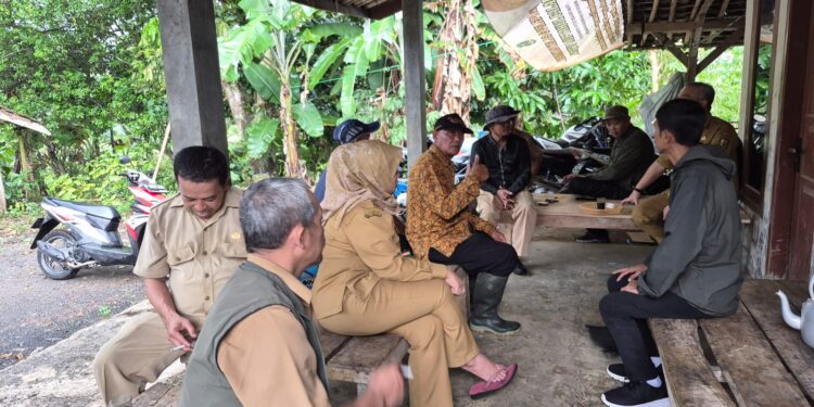 Dinas Pertanian Tinjau Langsung Petani Sawah Terdampak Kekeringan