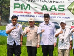 Wamenko Pangan Hanif Faisol Bersama Wakil Wali Kota Sukabumi Saat Tinjau Petani di Sukabumi