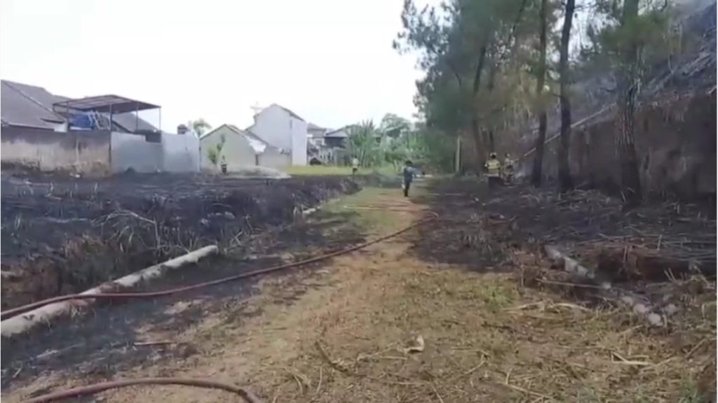 LAHAN KOSONG DI BALANDONGAN SUKABUMI TERBAKAR, DIDUGA AKIBAT PEMBAKARAN SISA TEBANGAN