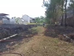 LAHAN KOSONG DI BALANDONGAN SUKABUMI TERBAKAR, DIDUGA AKIBAT PEMBAKARAN SISA TEBANGAN