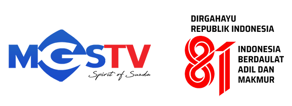 mgstv 32uhf digital