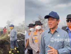 wamenko pangan hanif faisol tinjau karhutla