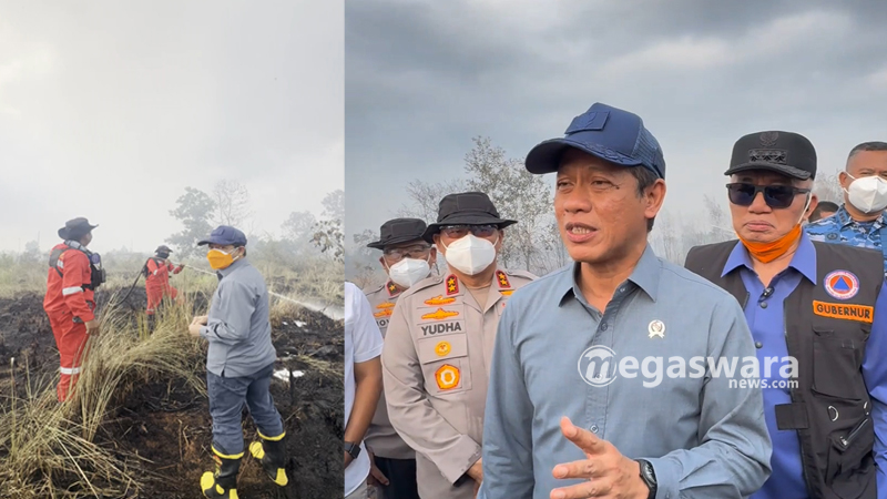 wamenko pangan hanif faisol tinjau karhutla