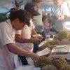 Festival Durian Promosikan Durian Lokal Bogor, Petani Dorong Perluasan Pasar