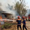 Musim Kemarau Picu Kebakaran, Damkar Cileungsi Tangani Lima Kejadian dalam Sehari