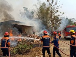 Musim Kemarau Picu Kebakaran, Damkar Cileungsi Tangani Lima Kejadian dalam Sehari