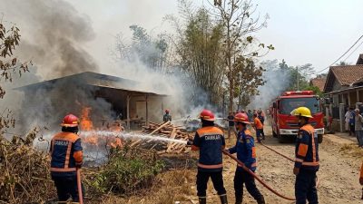 Musim Kemarau Picu Kebakaran, Damkar Cileungsi Tangani Lima Kejadian dalam Sehari