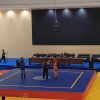 Dimas Prasojo Raih Emas di Tangerang Wushu Open Championship 2026