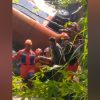 Mobil Elf Terjun ke Sungai di Ciawi, Pengemudi Tewas