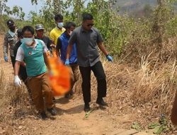 Mayat Perempuan Ditemukan di Kebun Jati Ciemas Sukabumi, Polisi Lakukan Penyelidikan